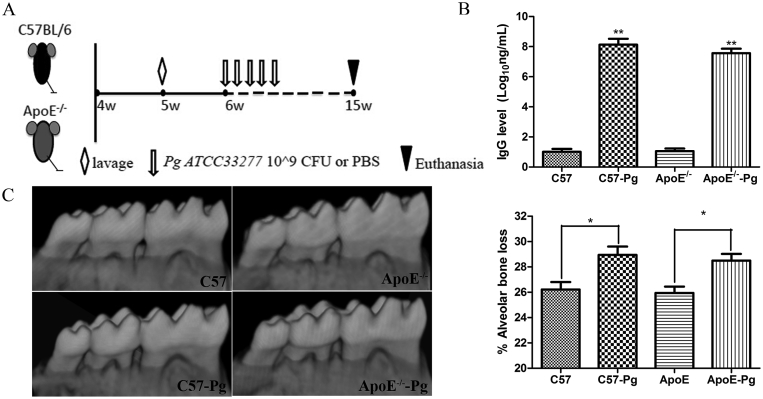 Figure 1