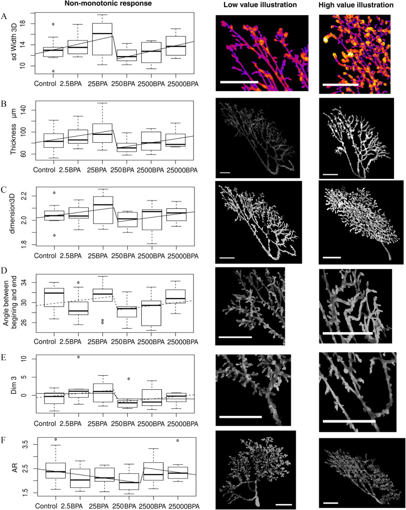 Figures 8A to 8F have boxplots under the column labeled Nonmonotonic response plotting sd width 3D, ranging from 10 to 18 in increments of 4; Thickness in micrometers, ranging from 60 to 140 in increments of 40, dimension 3D, ranging from 1.8 to 2.2; Angle between beginning and end, ranging from 26 to 35 in increments of 4; Dim 3, ranging from 0 to 10 in increments of 10; and AR, ranging from 1.5 to 3.5 in unit increments, respectively, (y-axis) across Control, 2.5BPA, 25BPA, 250BPA, 2500BPA, and 25000BPA (x-axis). The schematics of their corresponding morphological features are illustrated under the columns labeled low-value illustration and high-value illustration.