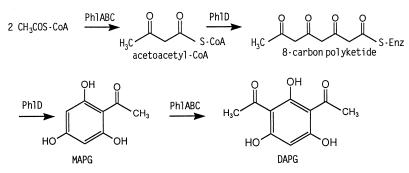 FIG. 6