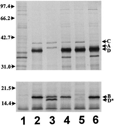 FIG. 5