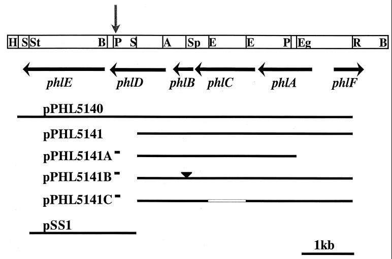 FIG. 1