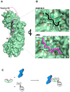 Fig. 3