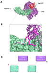 Fig. 7