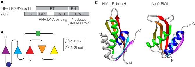 FIGURE 4