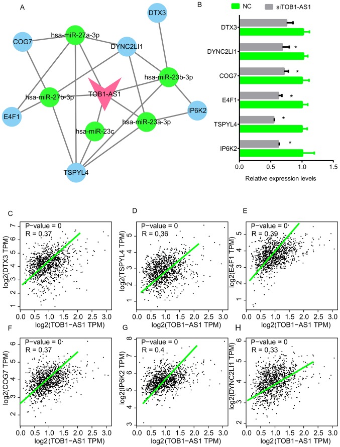 Figure 5.