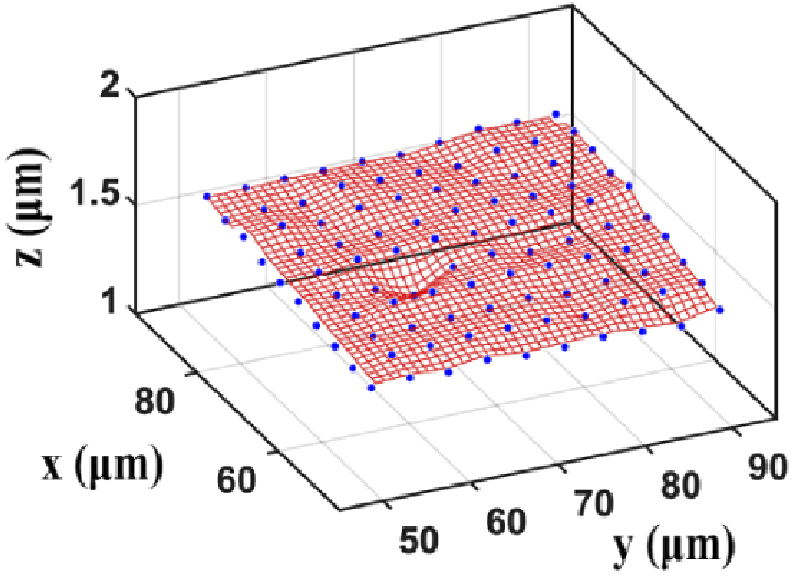 Fig. 9.