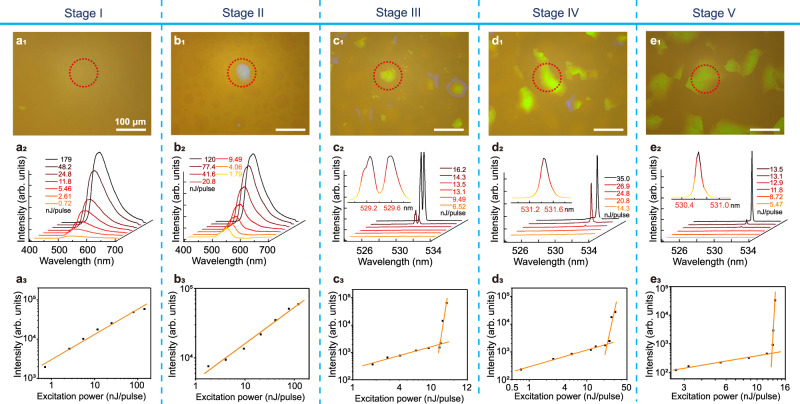 Fig. 7 Band-edge lasing of BPI in each phase-transition stage.