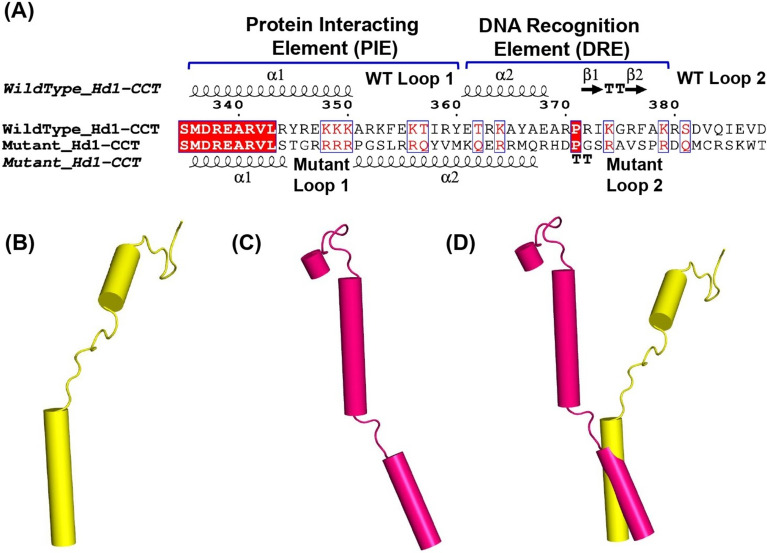 Fig. 6