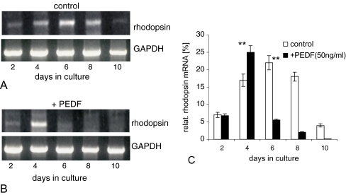 Fig. 4