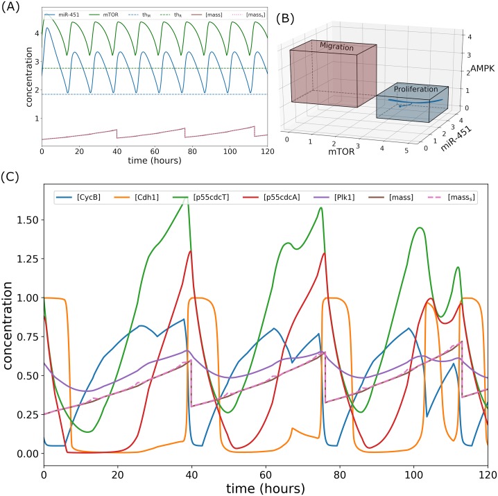 Fig 10