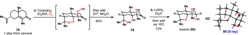 Scheme 5.