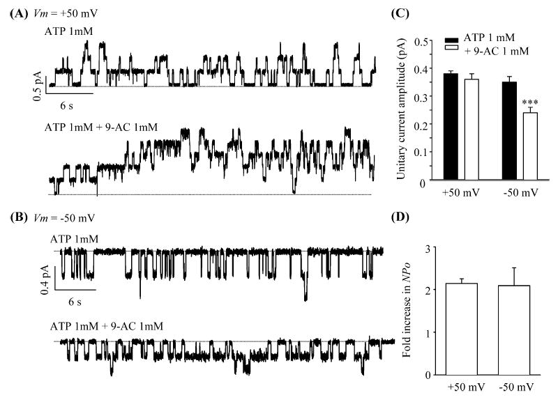 Fig. 3A–D