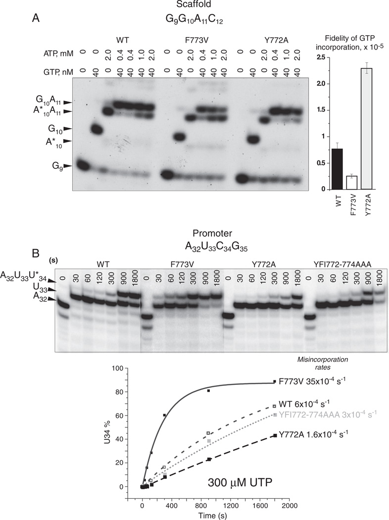 Fig. 7