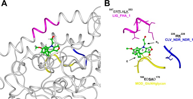 Figure 9