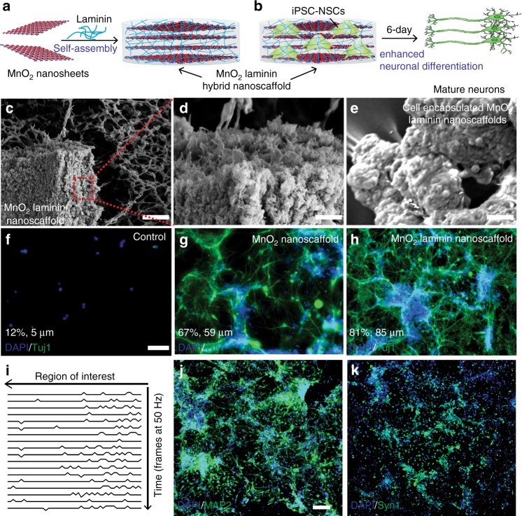 A biodegradable hybrid inorganic nanoscaffold for advanced stem cell ...