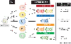 Key Figure, Figure 3: