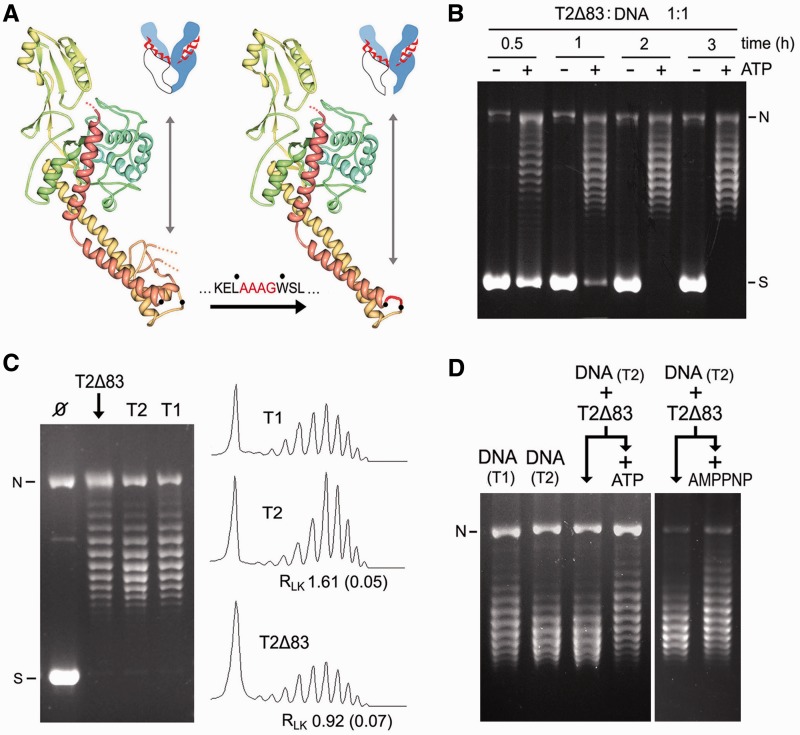 Figure 5.