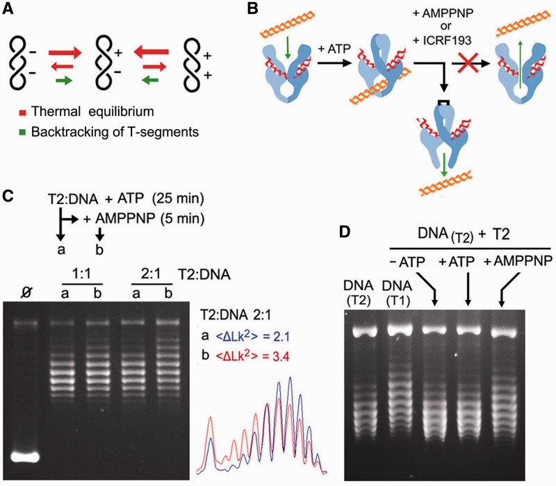 Figure 4.