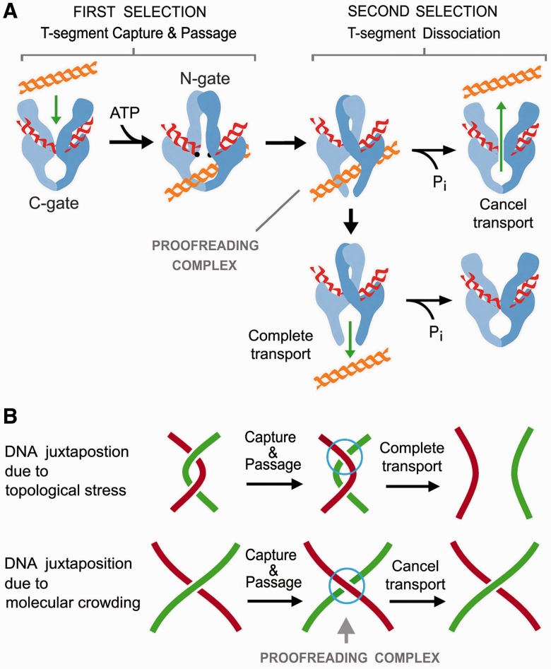 Figure 6.