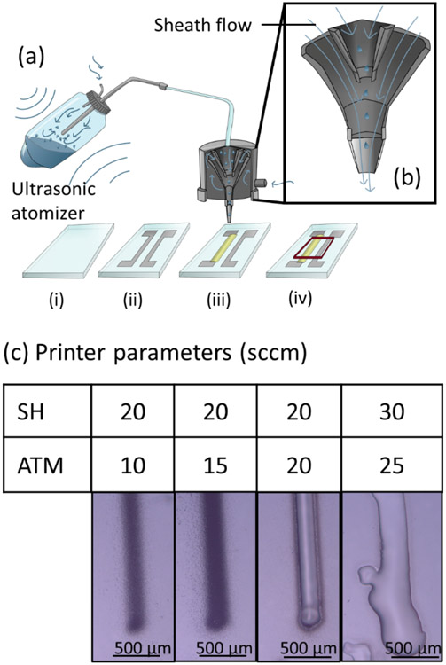 Figure 1: