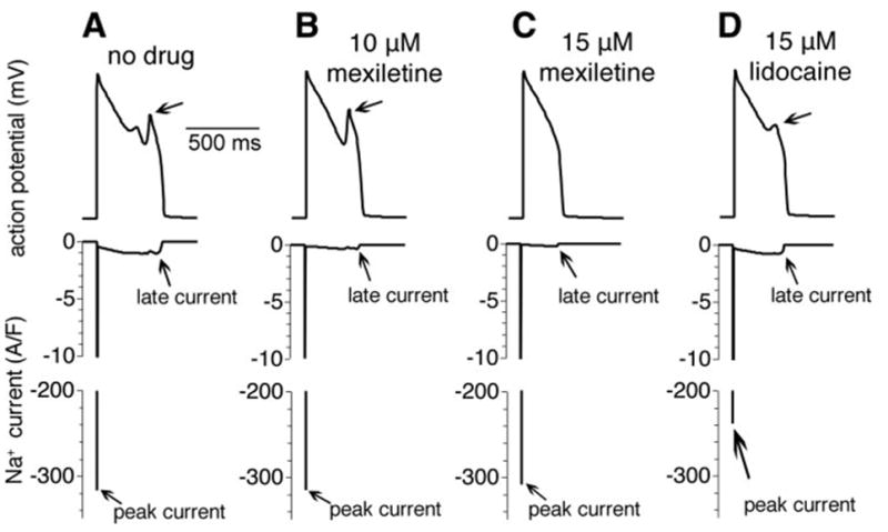 Fig. 7