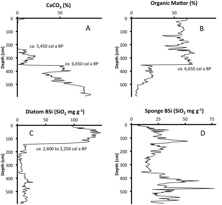 Fig 6