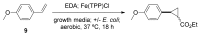 Scheme 9