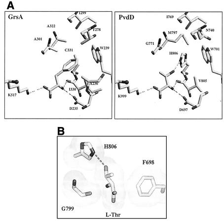 FIG. 5.