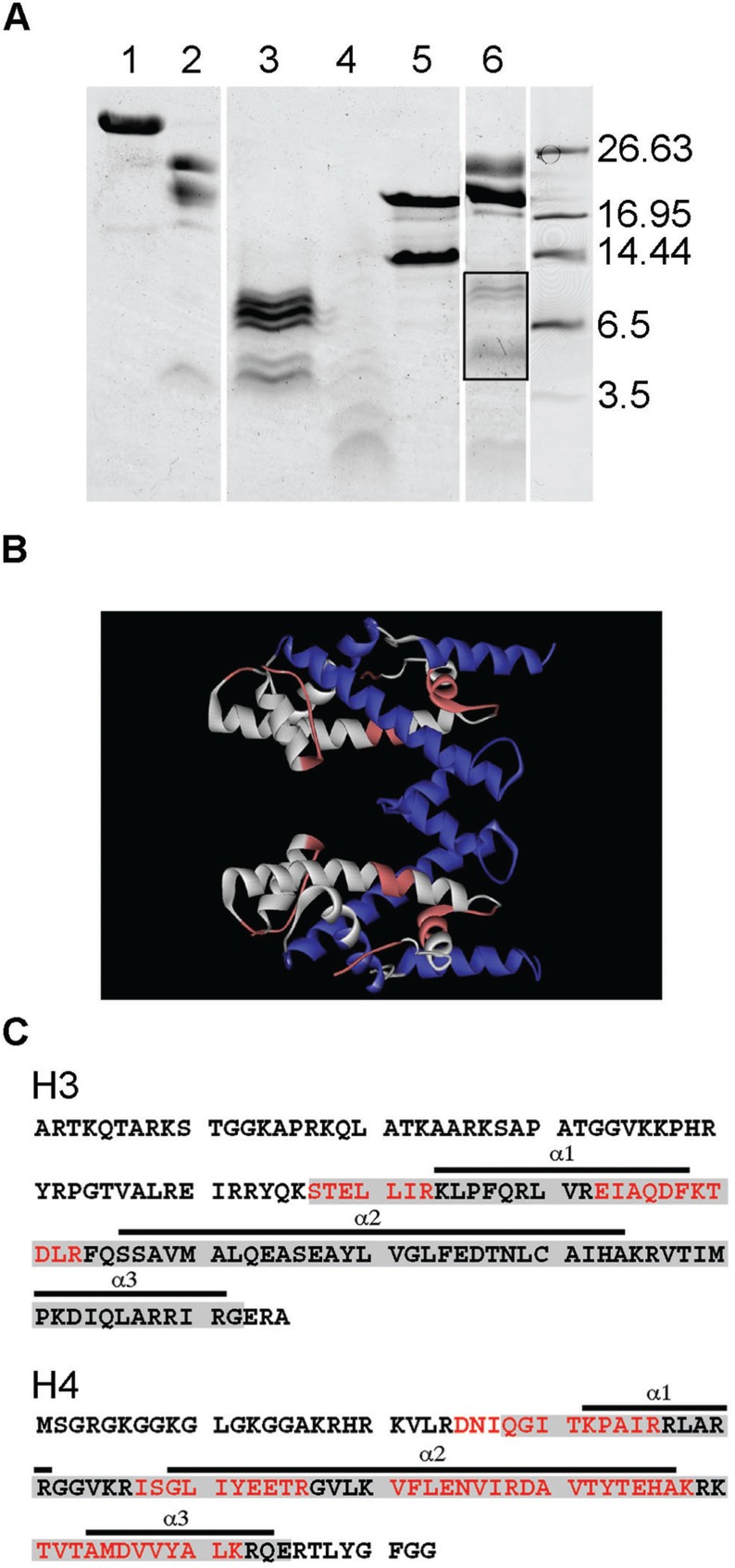 Figure 5.