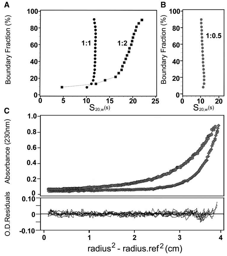 Figure 2.