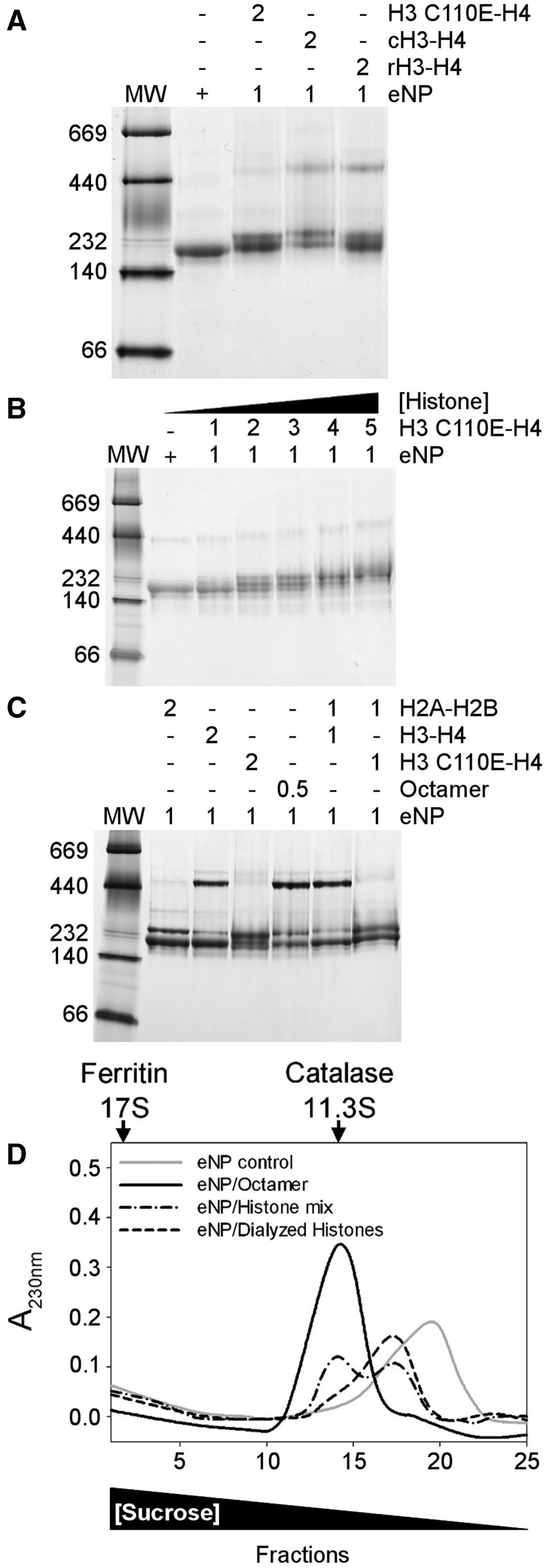 Figure 3.