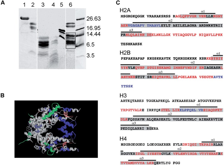 Figure 6.