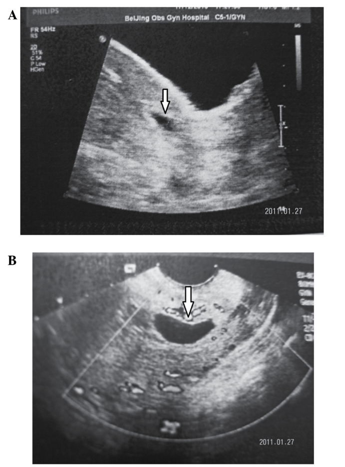 Figure 1.