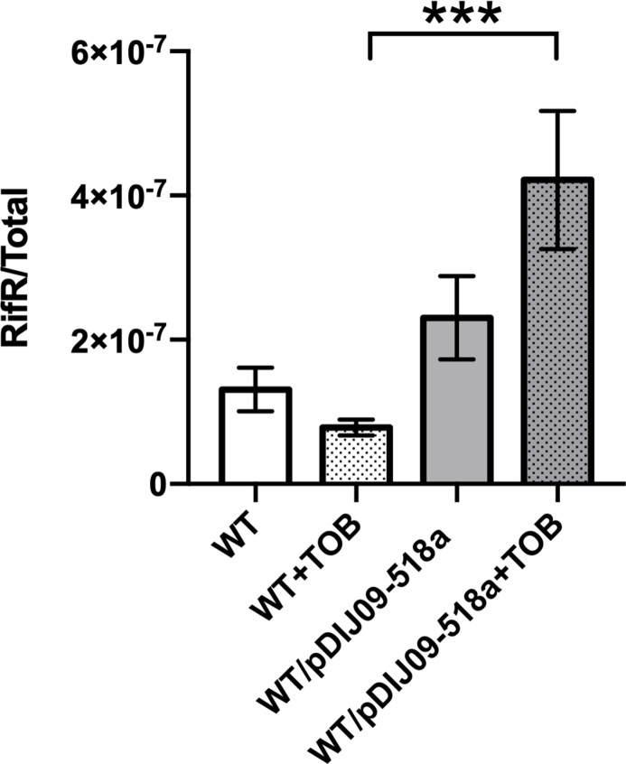 Figure 5—figure supplement 1.