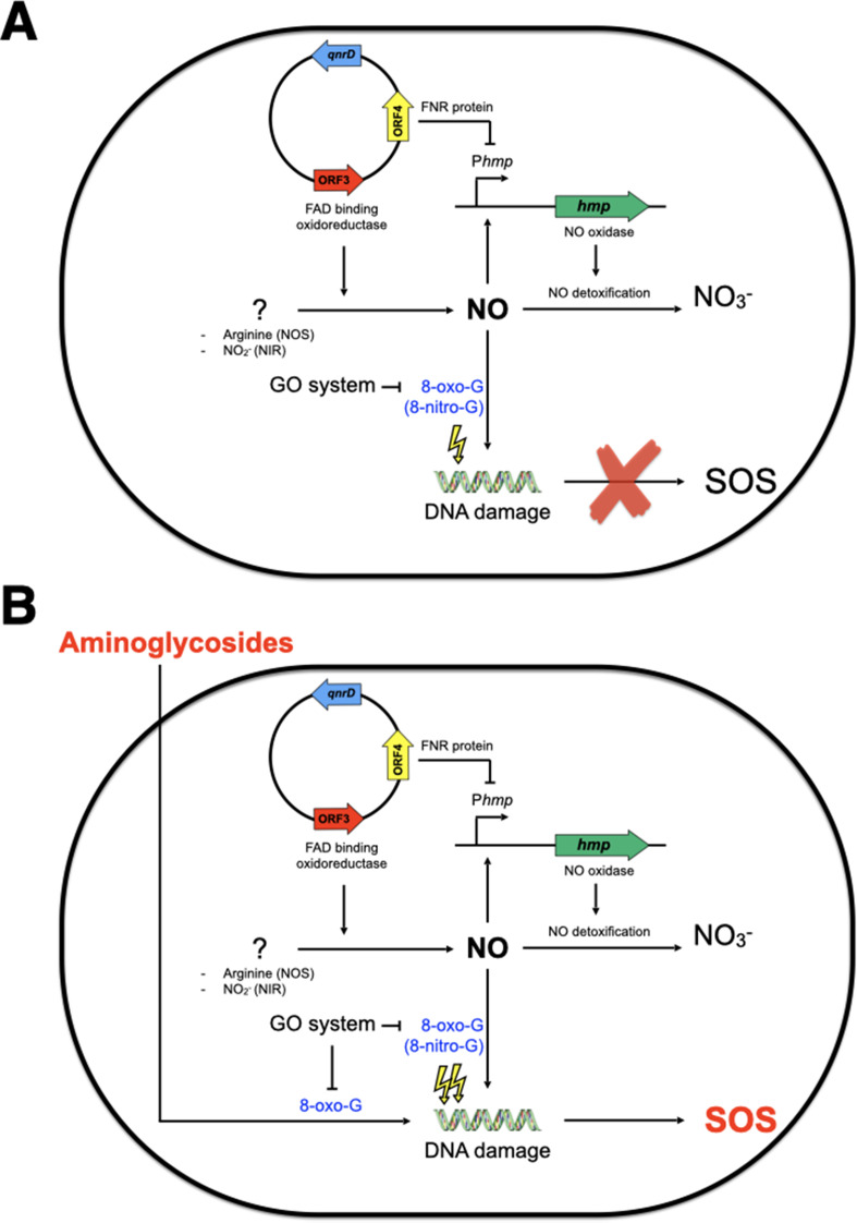 Figure 7.