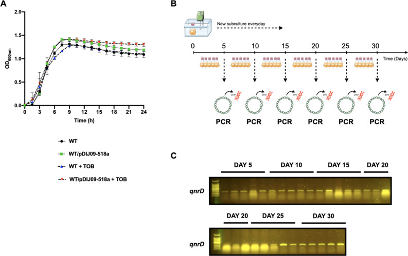 Figure 2—figure supplement 1.