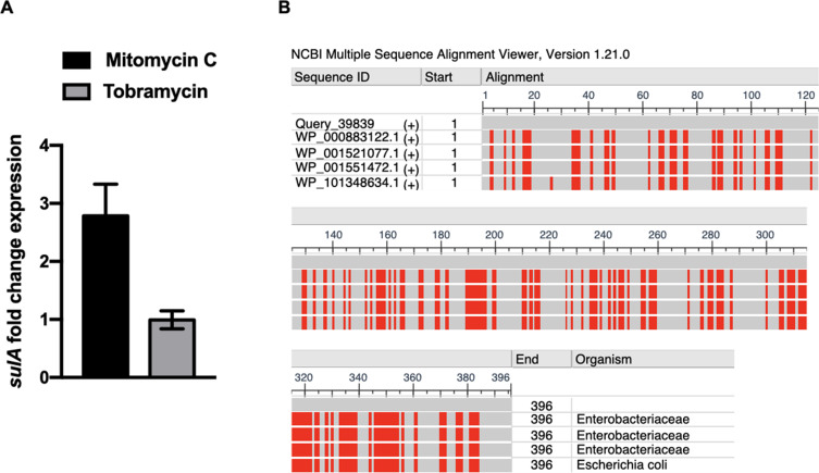 Figure 2—figure supplement 2.