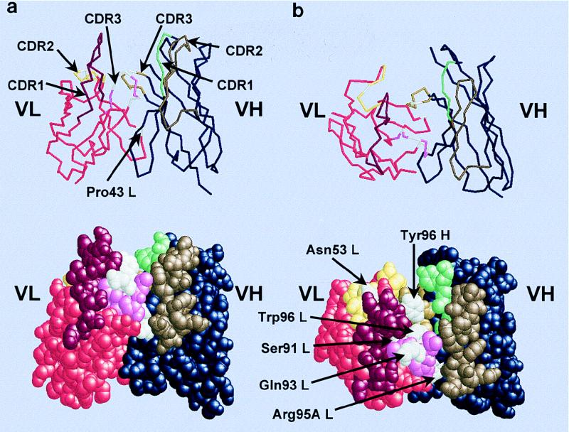 FIG. 8