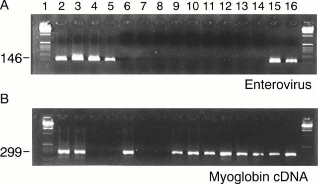 Figure 1  