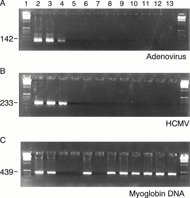 Figure 2  