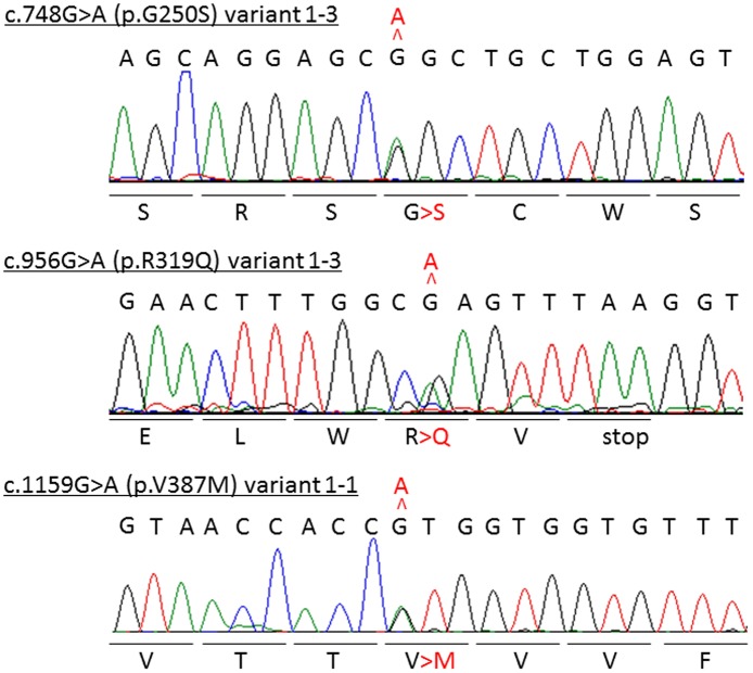 Fig 3