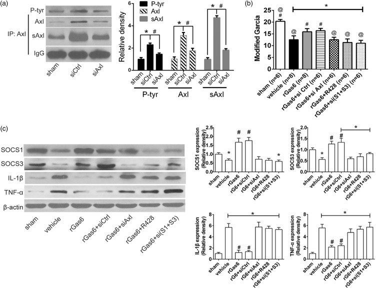 Figure 6.