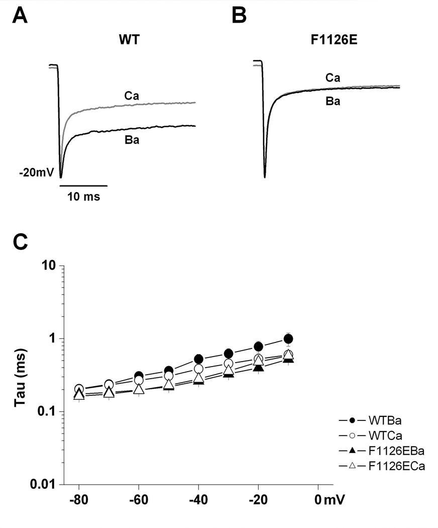 Fig. 6