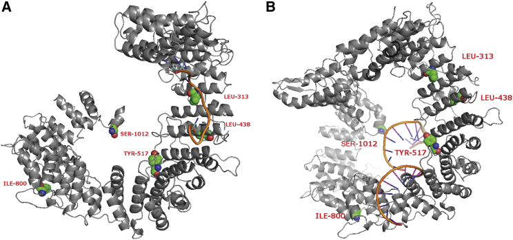 Figure 4