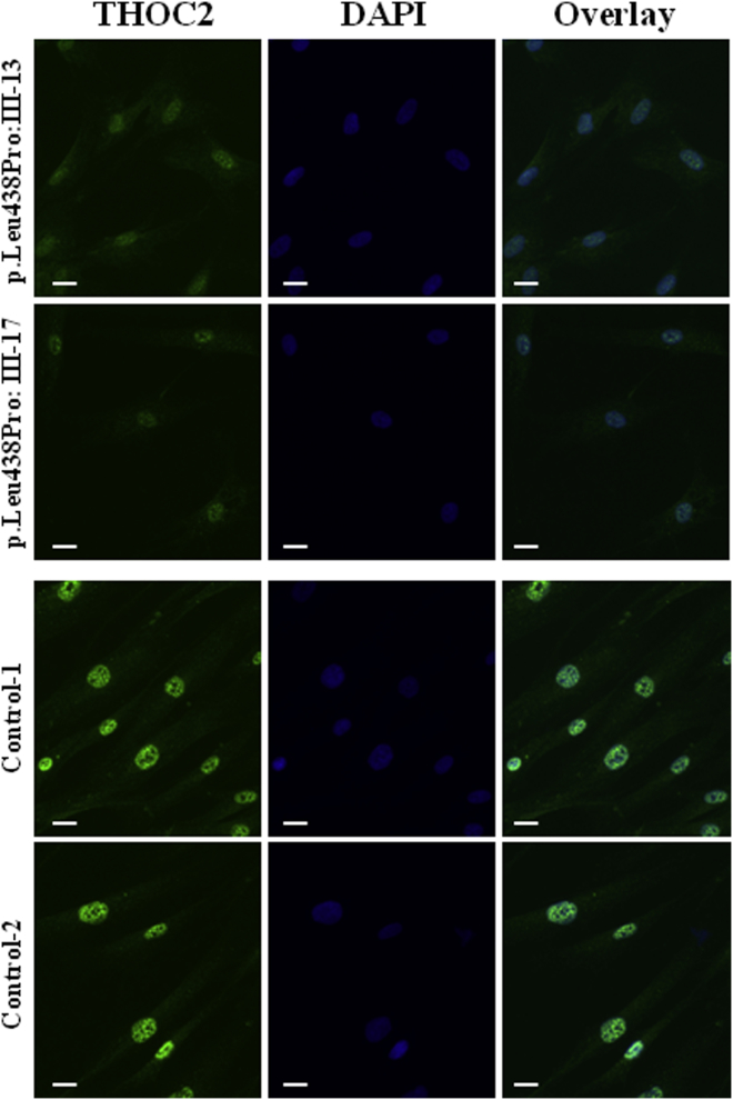 Figure 3