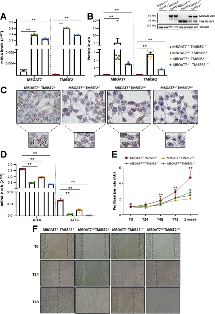 Figure 13