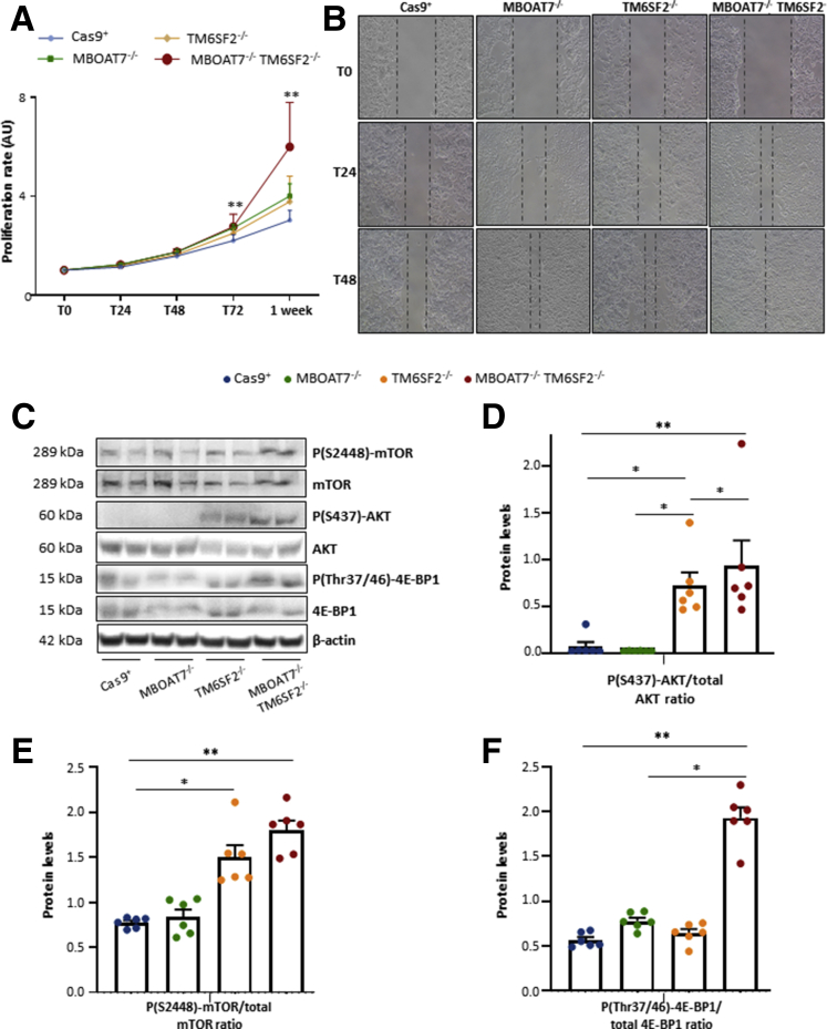 Figure 11