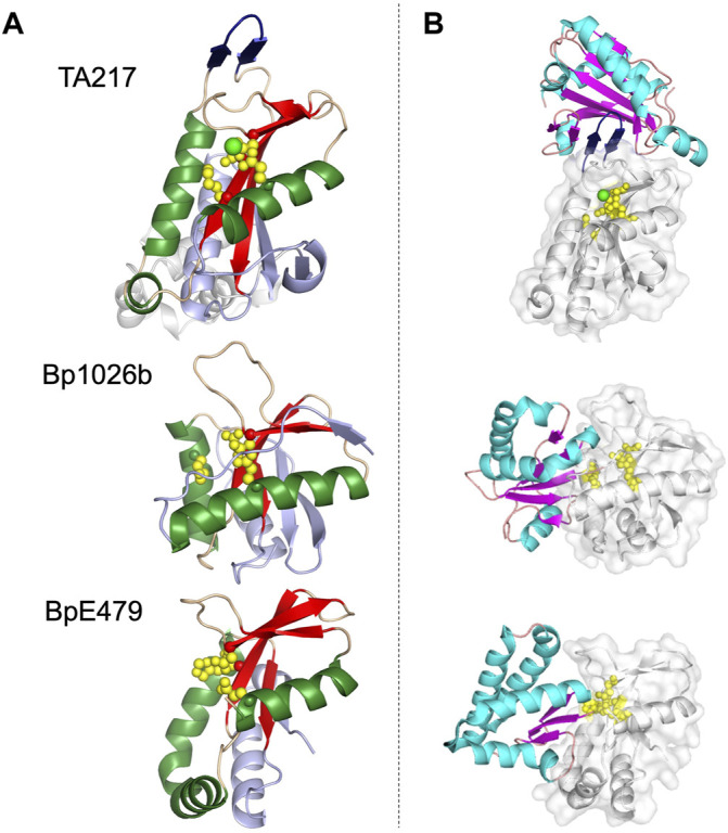 FIGURE 3