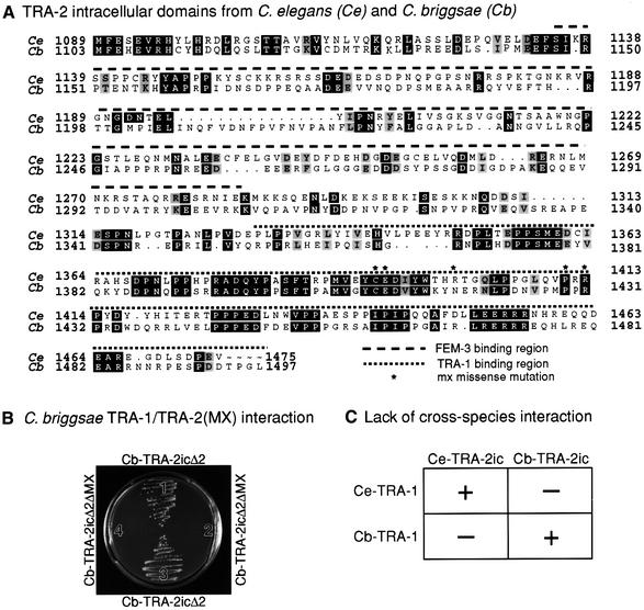 graphic file with name cde125f7.jpg