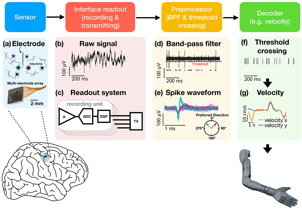 Figure 1: